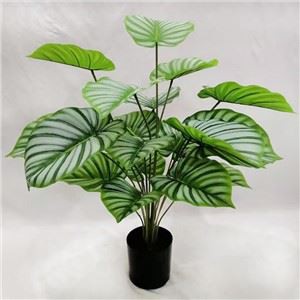 Kunstig pilerodsbladplante