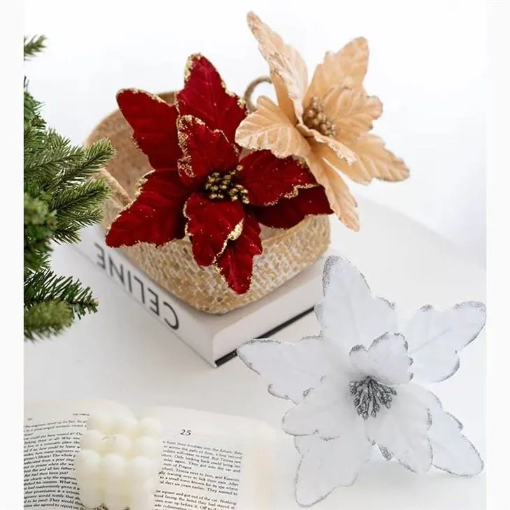 white poinsettia flower