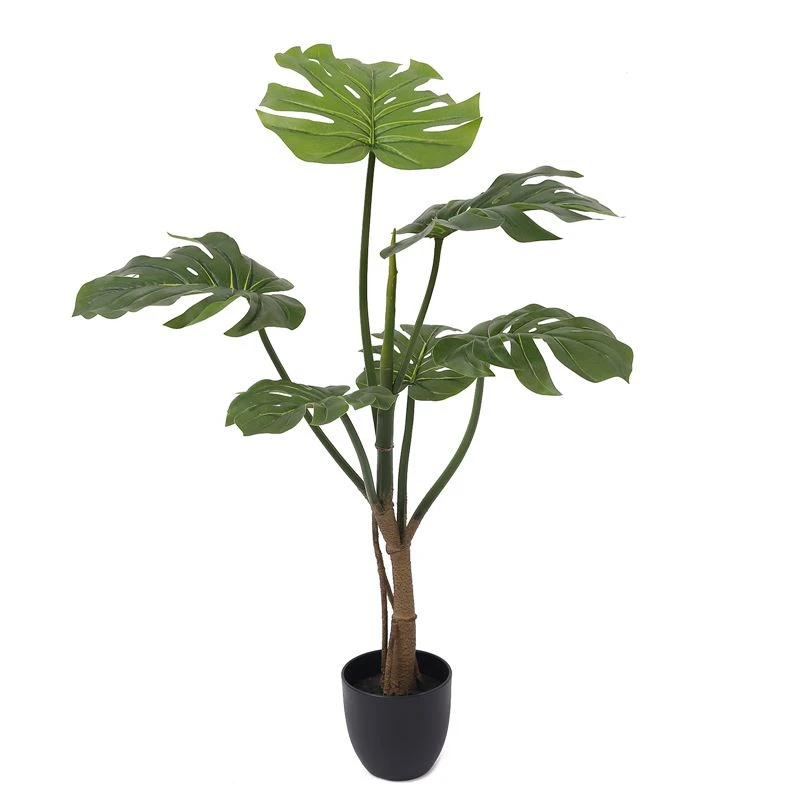 Hvor gælder det simulerede monstera træ