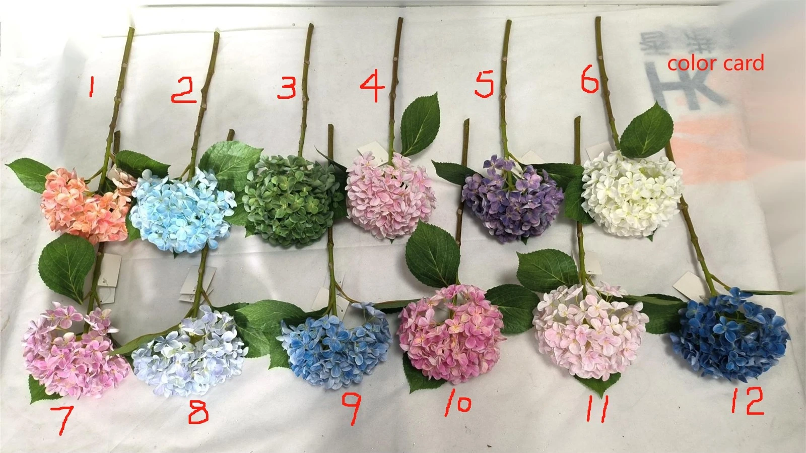 product-2000-1123 product-2000-1123